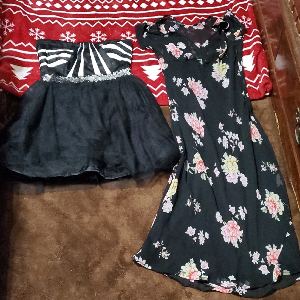 Floral and Tulle Dress Set